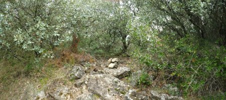 Lobera gaineko gailurra