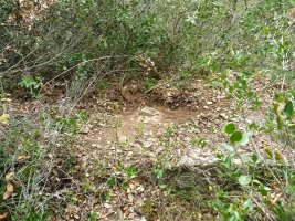 Tako geosesikoa Loberako gailurrean