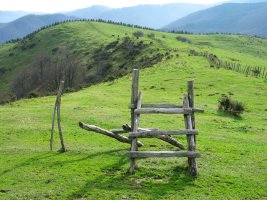 Harpausoa bizkarreko hesian