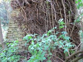 San Juan de la Penitencia ermitaren hondakinak, Gares
