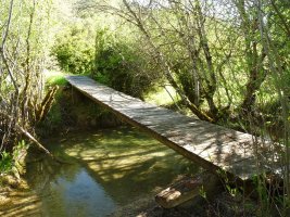 Zubitxoa, Zalba eta Zuntzarren arteko bidean