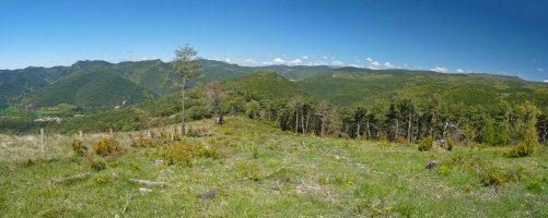 Arnaizpe gaina, Merkatariarena bordako lepotik