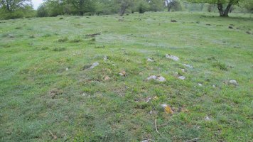 Arantzadia 9 tumulua, Urbasa