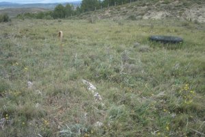 Cista Las Cabras 2  (Mayo 2019)