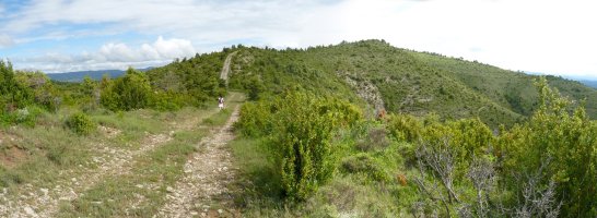 Hegoaldeko bidean gora