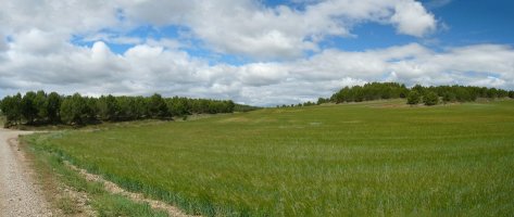 Soroak Cabras gainaren inguruan