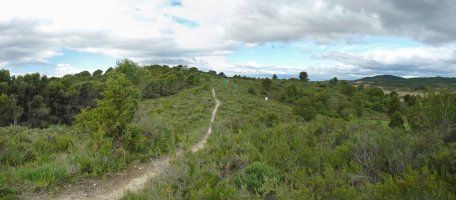 Beratxako gainaldean barrena doan bidea