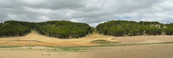 Beratxa, hego-ekialdetik