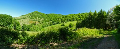 Iroxketa mendia, Askuko bidetik