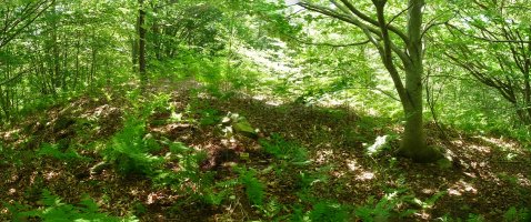 Ikalabetako gailurra