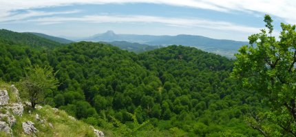 Aizkaia eta Musarrako haitzak