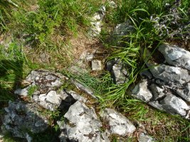 Tako geodesikoa Aizkaian