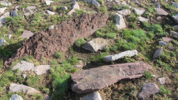 Oindolar II trikuharria, Villabona-Amasa