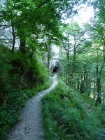 Tunel txikia Lizarrustiko bidean