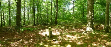 Malkorburuko gailurra