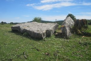 Menhir Akarte con el arbol talado (06-2019)