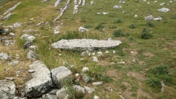 Arbelar zutarria (2019)