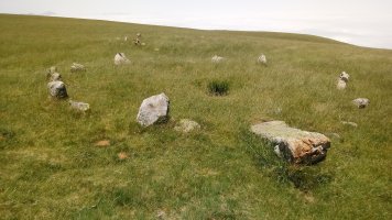 Ilharrita harrespilak 7