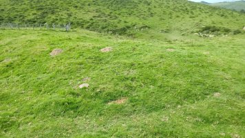 Iropile etxola-hondoak 5