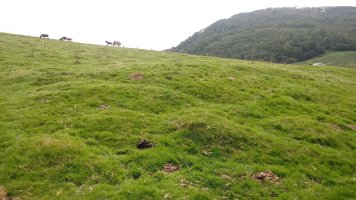 Iropile etxola-hondoak (2018)