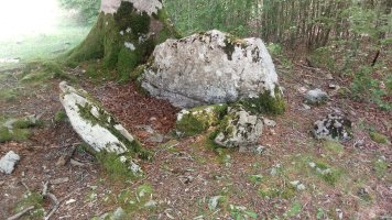 Otsotesare trikuharria 2