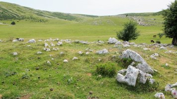 Igaratza sur eraztun-tumulua, Enirio Aralar