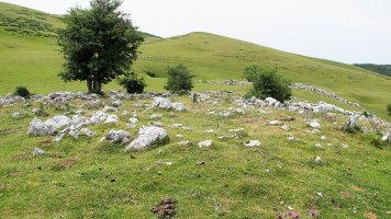 Igaratza sur eraztun-tumulua, Enirio Aralar