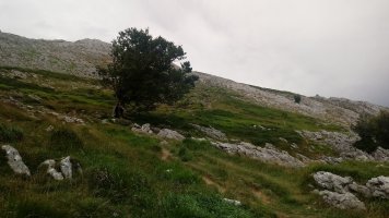 Aitxuri (1551m) igoera