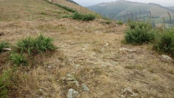 Urrezulko Armurea trikuharria 4