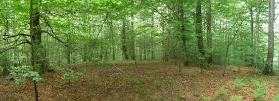 Pagadi garbiak Ariztizabalgo hegietan