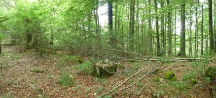 Erpin geodesiko suntsitua Ariztizabalgo gailurrean