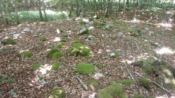 Bakedanoko Portuzargaina tumulua (2019)