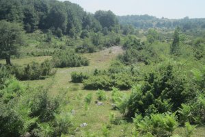 Dólmen Itaida III  (Julio 2019)