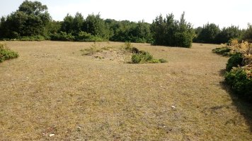 Sangris eraztun-tumuloa 2