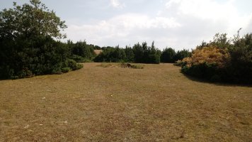 Sangris eraztun-tumuloa (2019)