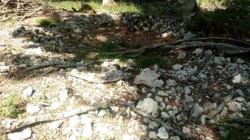 Bakedanoko Portuzargaina II Hegoa 2