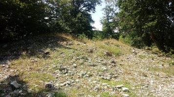 Bakedanoko Portuzargaina I Ipar trikuharria 2