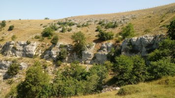 Bakedanoko Portuzargaina