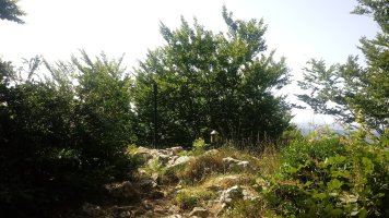 Lokitz (1121m) tontorra