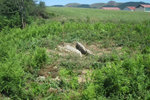 Dólmen Baratzeko Erreka  (Agosto 2019)