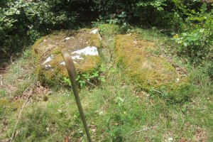 Dólmen Pitxortzar 2 Erdi  (Julio 2019)