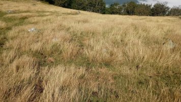 Xardeka harrespila II 2