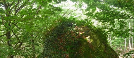 Eguberako Harriko gailurra