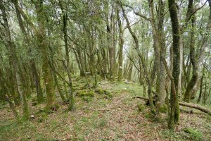 Artadia IMko bizkarrean