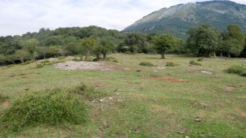 HEko larre eremu zabala