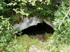 Mauletxe koba, Abaurregaina