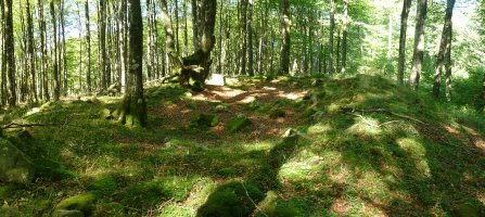 Larreluze trikuharria, Muñaandik oso hurbil