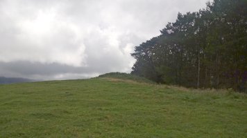 Salteburua (1031m), tontorra