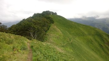 Urdesparri, tontorraldea