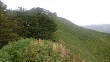 Urdesparri (1006m), tontorraldea
